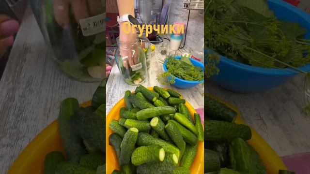 Трио❤️?? #дача #лето2023 #огород #близнецы #близняшки #огородублизняшек смотреть онлайн