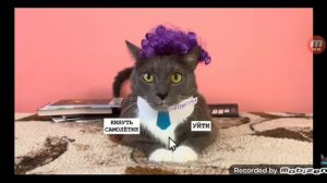 КОТИНЕТ - 11-СЕРИЯ 3-СЕЗОН - КОТИКИ-В-ШКОЛЕ ИГРА - (Kotiynet-Россия)