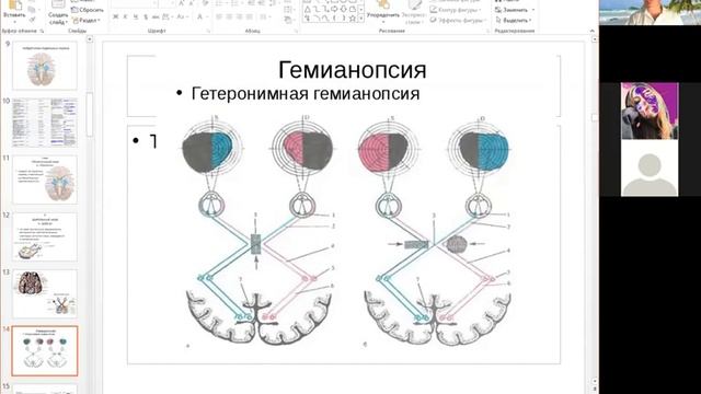 7. Периферическая нервная система / Peripheral nervous system смотреть онлайн