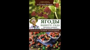 Галина Кизима  Ягоды вашего сада  Аудиокнига