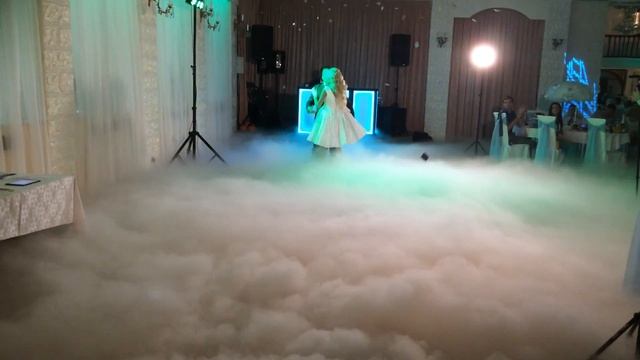 Генератор тяжелого дыма (дым-машина), конфетти пушка на первый танец от дым.рус смотреть онлайн