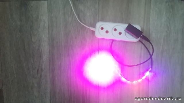 Фитолента с Aliexpress. Такому подарку растения будут не рады. смотреть онлайн