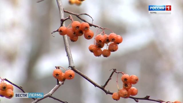 Погода меняется: штормовой ветер и снег смотреть онлайн