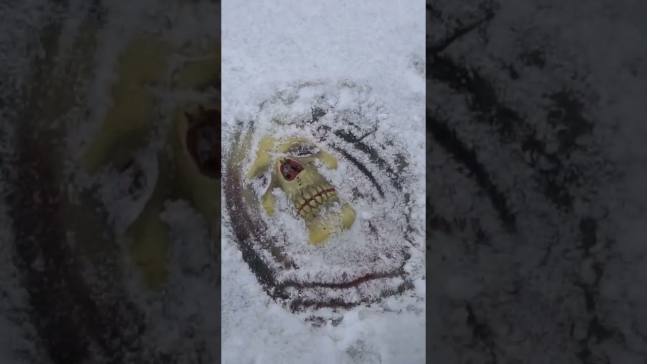 Такого мы ещё не находили! смотреть онлайн