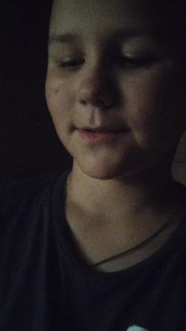 Старышилки