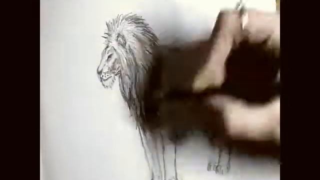 Как нарисовать льва карандашом (How to draw a lion) смотреть онлайн