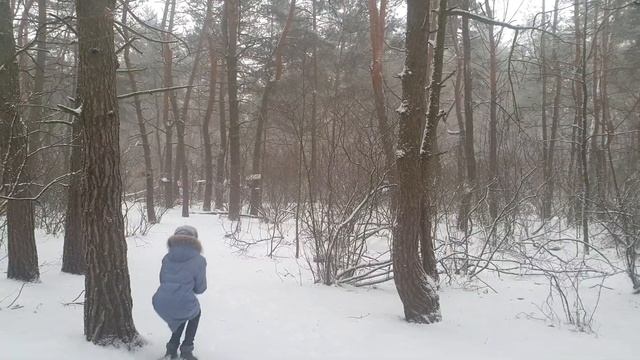 Русский зимний лес ?прогулка , белка? птицы, кормушки ? 13 января 2021г. смотреть онлайн