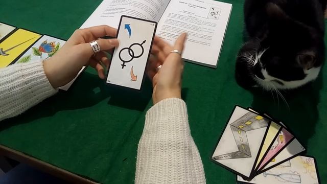 l'oracle de Gé, les cartes de 11 à 20. смотреть онлайн