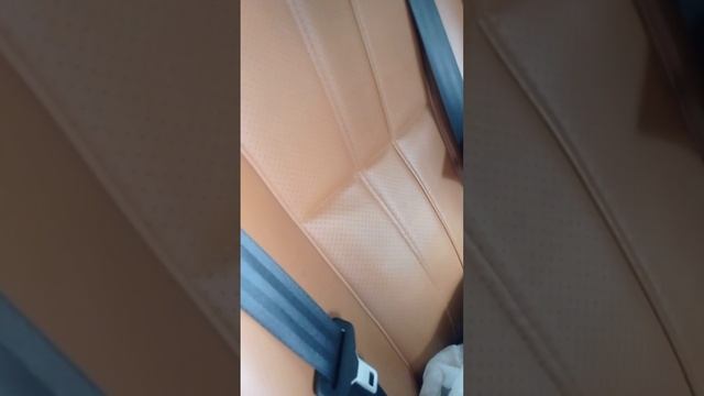 ситуция с ягуаром