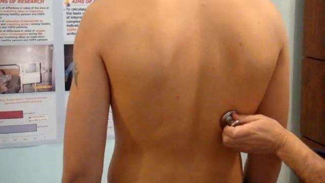 Аускультация почечных артерий смотреть онлайн