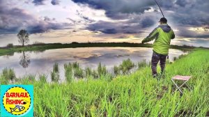 ДА ТУТ ЕГО КИШИТ! ЛОВЛЯ КАРАСЯ ВЕСНОЙ. РЫБАЛКА НА ПОПЛАВОК.