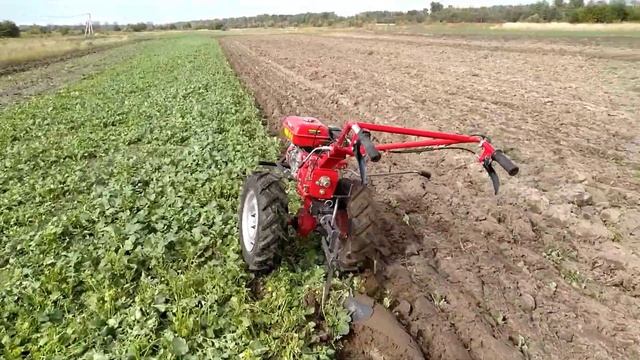 Мотоблок Forte 105. Приорювання сидератів на зиму. смотреть онлайн