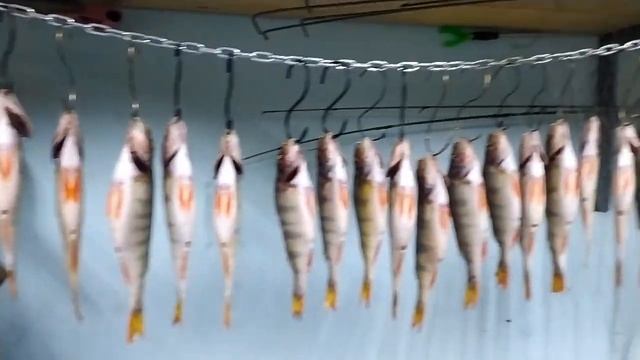 Окунь зимней с КВХ натурального горячего копчения в термокамере рецепт смотреть онлайн