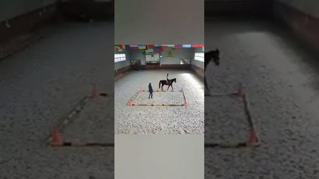 Видео урок 1 "Поворот на заду" смотреть онлайн