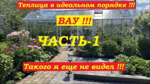 Теплица с томатами и огурцами в идеальном порядке! Вау!!! Такого я еще не видел !!!