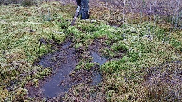 Wading rubber boots in the swamp (part 2) смотреть онлайн
