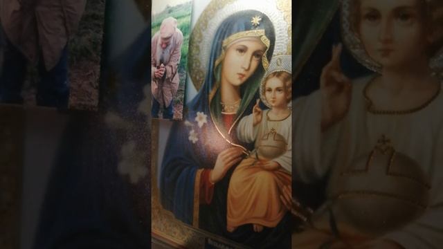 Акафист Богородицы "Неувядаемый Цвет " смотреть онлайн