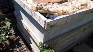 Компостная яма на даче своими руками