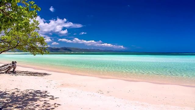 Trance From My World.E.Lev..mp4