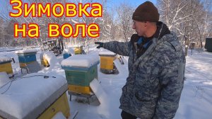 Зимовка пчёл на ВОЛЕ и в ОМШАННИКЕ. Вентиляция в ульях. ВЕРХНЯЯ и НИЖНЯЯ вентиляция!