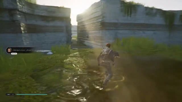 Star Wars Jedi Fallen Order Где найти контйнер стима