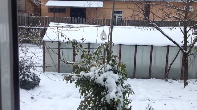 Повесили кормушку для птиц смотреть онлайн