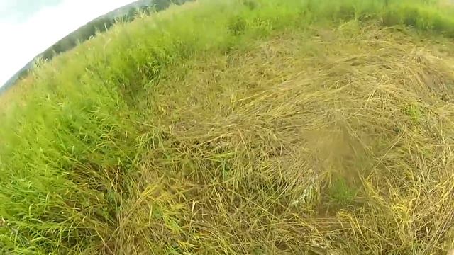 Уехала жить в деревню. Завела хозяйство. Обратно в город не вернусь! смотреть онлайн
