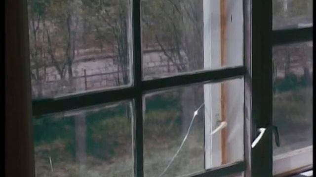 Камертон. Социальная сеть. 30 мая 2013 г. смотреть онлайн