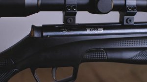 Stoeger RX5 Synthetic Combo 4.5 мм (80512, прицел 4x32) видео обзор