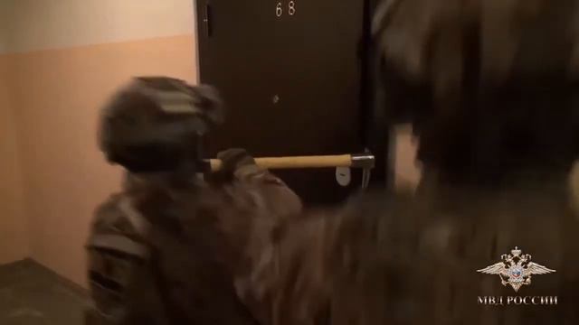 Новосибирцы незаконно вырубили лес более чем на 15 миллионов рублей смотреть онлайн
