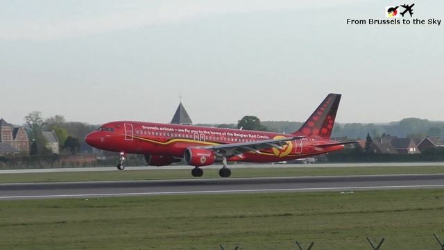 Plane Spotting At Brussels Airport - Brussels Airlines Special Liveries
