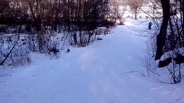 Санки пластиковые Снежный скат для взрослых смотреть онлайн