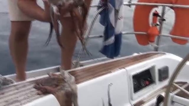 Греция. Осьминоги. смотреть онлайн