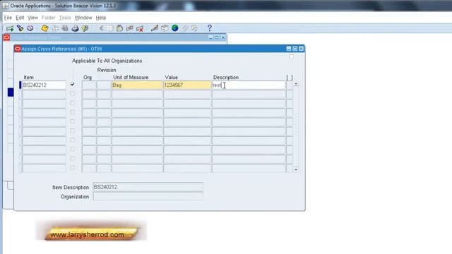 INV Item Cross References, Oracle Applications Training смотреть онлайн