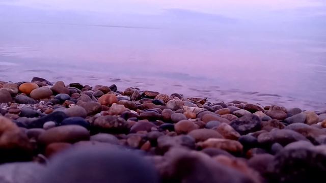 Кот, чайки и мОре # Ейск, март 2021 смотреть онлайн