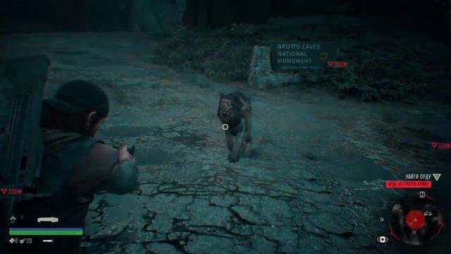 Приколы и Баги в Days Gone/Жизнь После Fun & Bugs in Days Gone смотреть онлайн