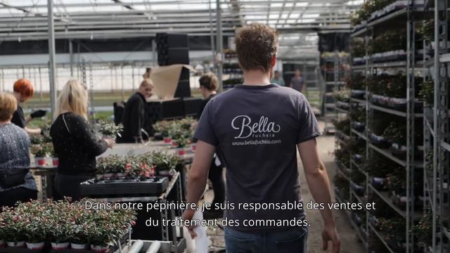 Pépinière Fuchsia située sur la côte néerlandaise смотреть онлайн