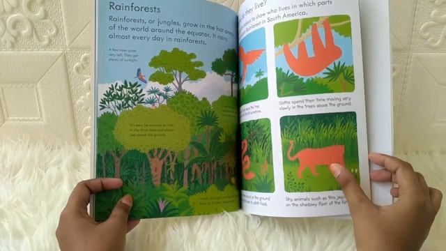 Usborne My First Book about Our World with over 100 stickers смотреть онлайн