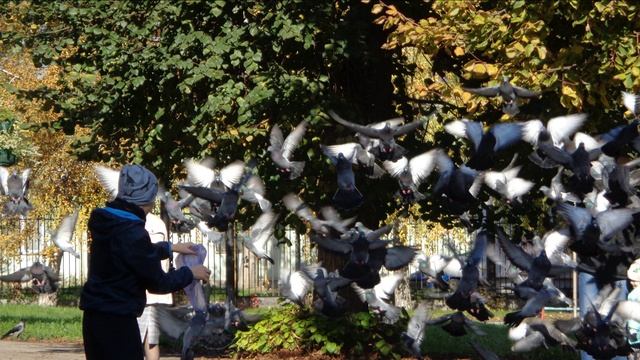 СКВЕР РОДИНА