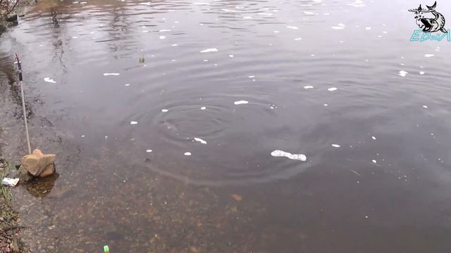 Фидер.Десногорск 03.01.2021г смотреть онлайн