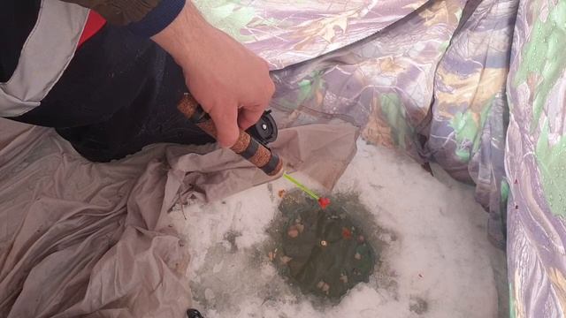 Рыбалка ловля сороги и плотвы с палатки. смотреть онлайн