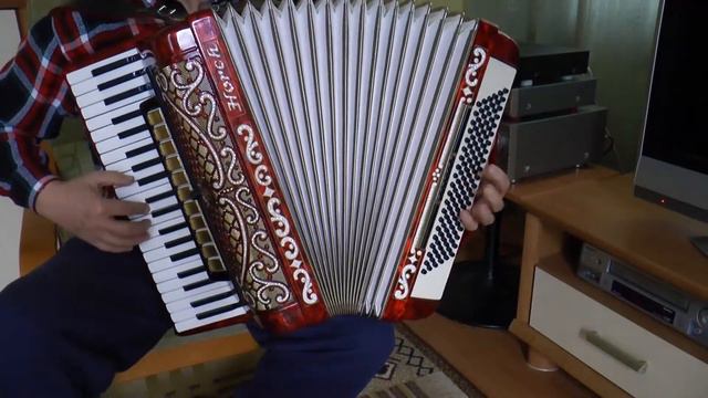 Bo Ty masz w sobie coś Roman gra na akordeonie HORCH cover смотреть онлайн