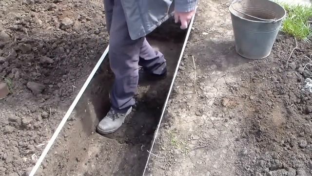 Инжир посажен в траншее смотреть онлайн