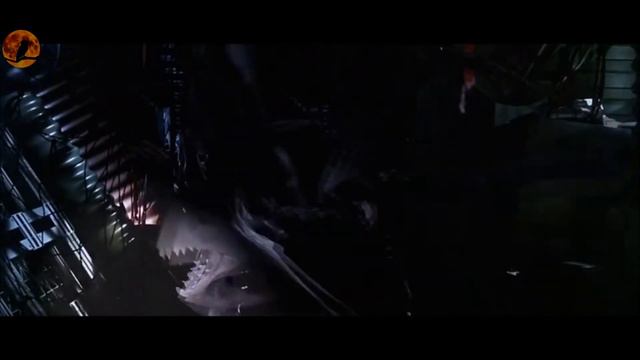 Кромешная тьма (Pitch Black) Краткий пересказ смотреть онлайн