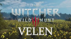 Witcher 3 - Velen - Day Ambience & Music