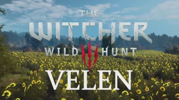 Witcher 3 - Velen - Day Ambience & Music