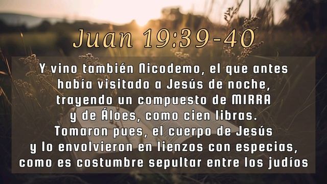 ACEITES ESENCIALES DE LA BIBLIA / 12 Aceites Consagrados смотреть онлайн