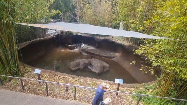 USA | America | San-Diego | Zoo where wild animals are kept смотреть онлайн