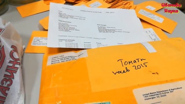 Проращивание семян. Итоги барботирования без компрессора. смотреть онлайн