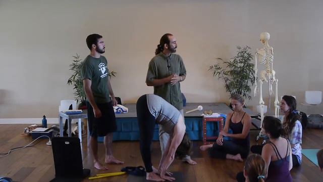 The Proper Mechanics of Forward Fold by Brian Dorfman смотреть онлайн